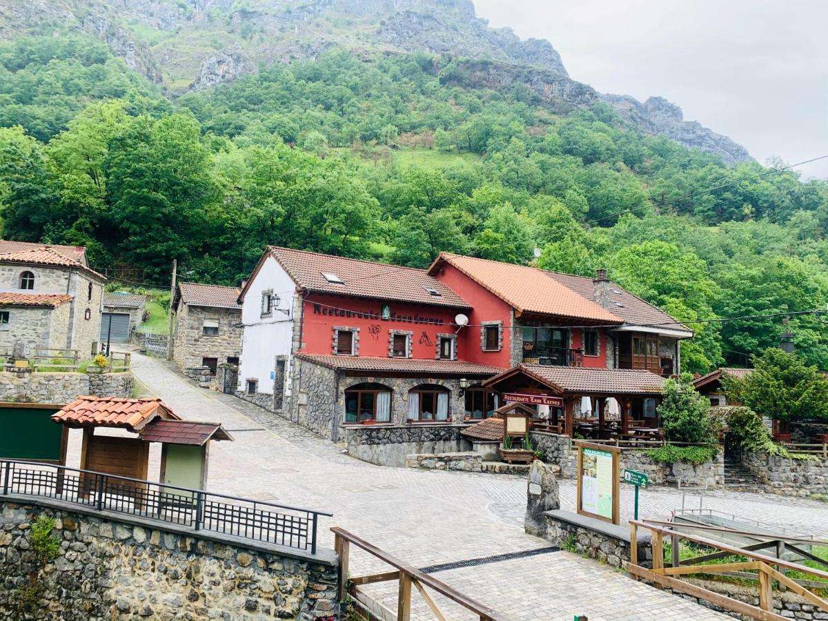 Готель Casa Cuevas Каін Екстер'єр фото